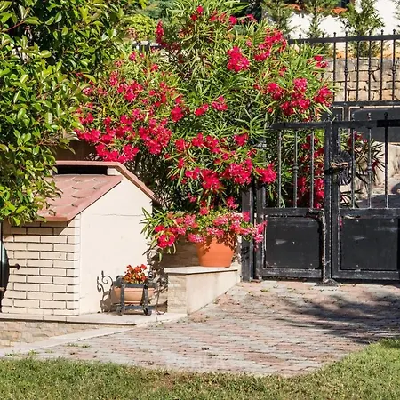 Guest house House Barbara